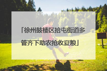 徐州鼓楼区拾屯街道多管齐下助农抢收夏粮