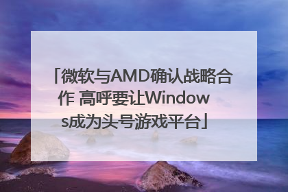 微软与AMD确认战略合作 高呼要让Windows成为头号游戏平台