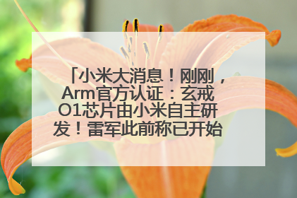 小米大消息！刚刚，Arm官方认证：玄戒O1芯片由小米自主研发！雷军此前称已开始大规模量产