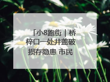 小8跑街｜桥梓口一处井盖破损存隐患 市民盼立即整修