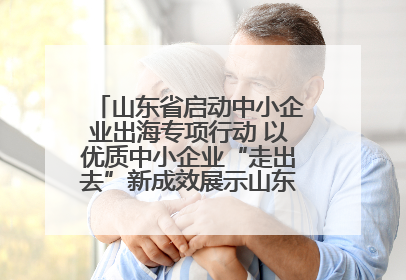 山东省启动中小企业出海专项行动 以优质中小企业“走出去”新成效展示山东产业发展新形象