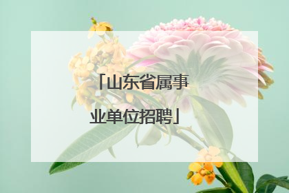 山东省属事业单位招聘