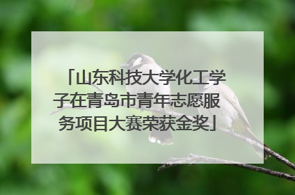 山东科技大学化工学子在青岛市青年志愿服务项目大赛荣获金奖