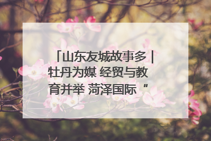 山东友城故事多｜牡丹为媒 经贸与教育并举 菏泽国际“朋友圈”扩容升级