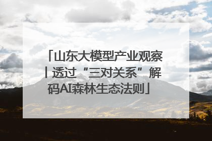 山东大模型产业观察丨透过“三对关系”解码AI森林生态法则
