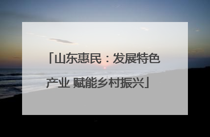 山东惠民：发展特色产业 赋能乡村振兴