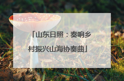 山东日照：奏响乡村振兴山海协奏曲