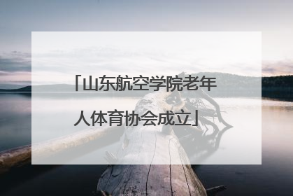 山东航空学院老年人体育协会成立