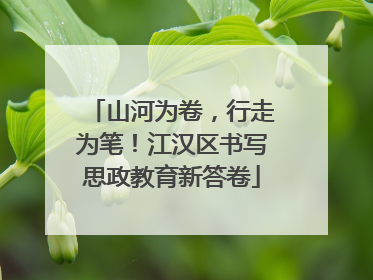 山河为卷，行走为笔！江汉区书写思政教育新答卷