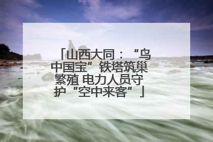 山西大同：“鸟中国宝”铁塔筑巢繁殖 电力人员守护“空中来客”