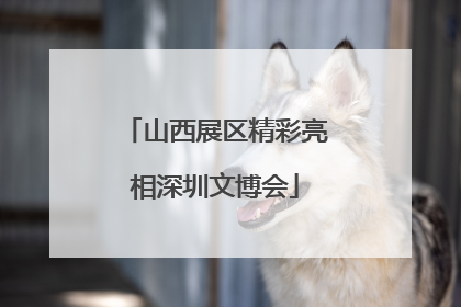 山西展区精彩亮相深圳文博会