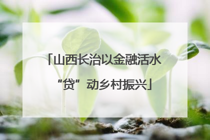 山西长治以金融活水“贷”动乡村振兴