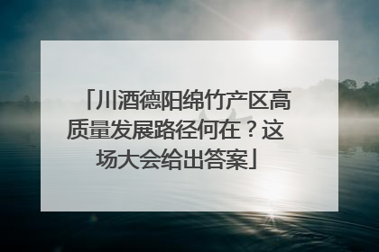 川酒德阳绵竹产区高质量发展路径何在？这场大会给出答案