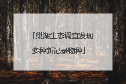 巢湖生态调查发现多种新记录物种