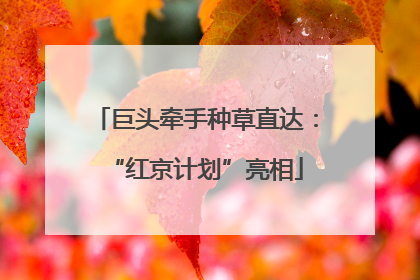 巨头牵手种草直达：“红京计划”亮相
