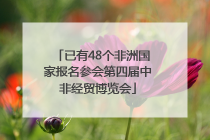 已有48个非洲国家报名参会第四届中非经贸博览会