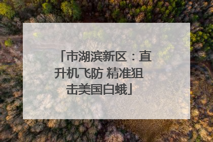 市湖滨新区：直升机飞防 精准狙击美国白蛾