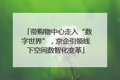 带购物中心走入“数字世界”，京企引领线下空间数智化变革