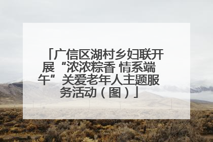 广信区湖村乡妇联开展“浓浓粽香 情系端午”关爱老年人主题服务活动（图）
