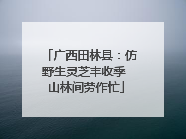 广西田林县：仿野生灵芝丰收季 山林间劳作忙
