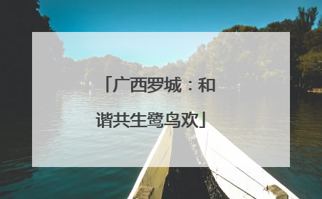 广西罗城：和谐共生鹭鸟欢