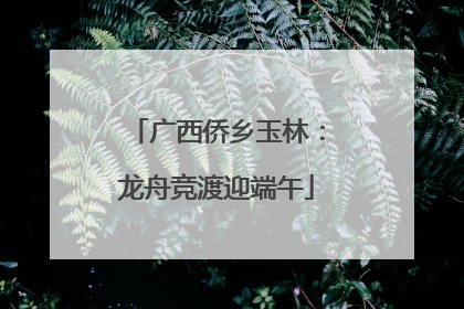 广西侨乡玉林：龙舟竞渡迎端午