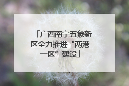 广西南宁五象新区全力推进“两港一区”建设