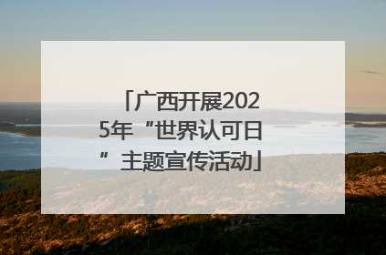广西开展2025年“世界认可日”主题宣传活动