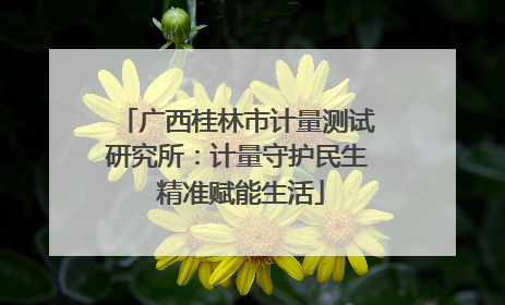 广西桂林市计量测试研究所：计量守护民生 精准赋能生活