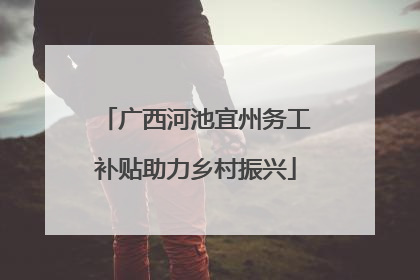 广西河池宜州务工补贴助力乡村振兴