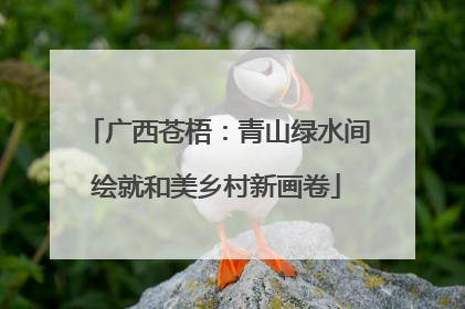 广西苍梧：青山绿水间绘就和美乡村新画卷