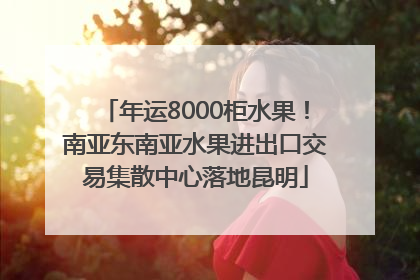 年运8000柜水果！南亚东南亚水果进出口交易集散中心落地昆明