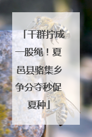 干群拧成一股绳！夏邑县骆集乡争分夺秒促夏种