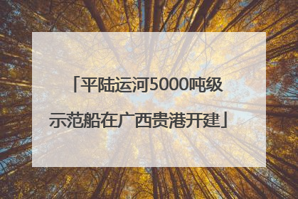 平陆运河5000吨级示范船在广西贵港开建