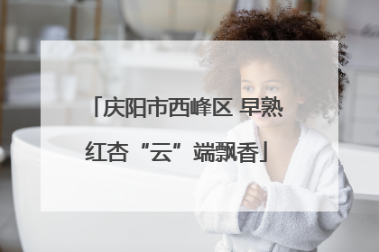 庆阳市西峰区 早熟红杏“云”端飘香