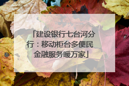 建设银行七台河分行：移动柜台多便民 金融服务暖万家