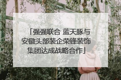 强强联合 蓝天豚与安徽头部装企荣锋装饰集团达成战略合作