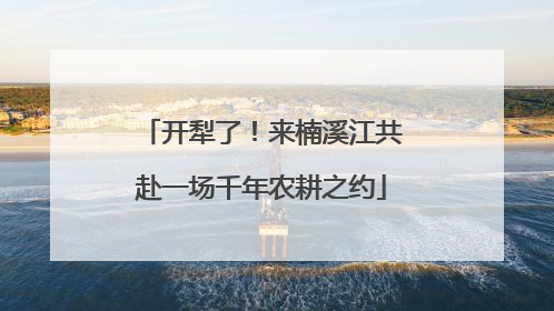 开犁了！来楠溪江共赴一场千年农耕之约