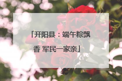 开阳县：端午粽飘香 军民一家亲