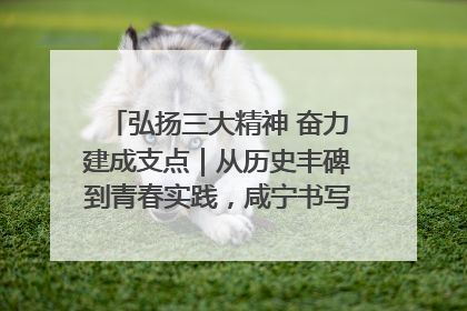 弘扬三大精神 奋力建成支点｜从历史丰碑到青春实践，咸宁书写精神传承新篇章