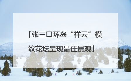 张三口环岛“祥云”模纹花坛呈现最佳景观