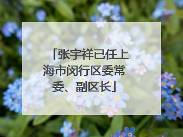 张宇祥已任上海市闵行区委常委、副区长