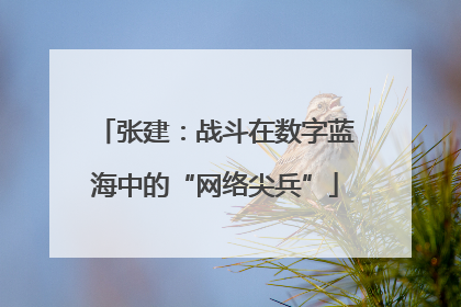 张建：战斗在数字蓝海中的“网络尖兵”