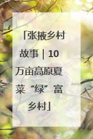 张掖乡村故事｜10万亩高原夏菜“绿”富乡村