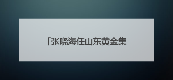 张晓海任山东黄金集团有限公司董事长