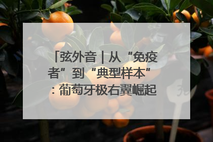 弦外音｜从“免疫者”到“典型样本”：葡萄牙极右翼崛起背后的欧洲困局