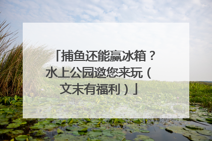 捕鱼还能赢冰箱？水上公园邀您来玩（文末有福利）