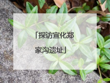 探访宣化郑家沟遗址