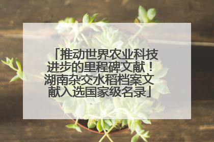 推动世界农业科技进步的里程碑文献！湖南杂交水稻档案文献入选国家级名录