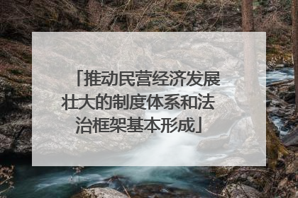 推动民营经济发展壮大的制度体系和法治框架基本形成